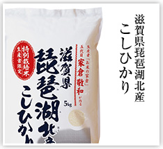 滋賀県琵琶湖北産こしひかり