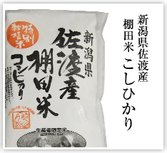 新潟県佐渡産棚田米 こしひかり