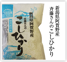 新潟県阿賀野産斉藤さんのこしひかり