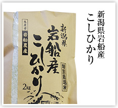 新潟県岩船産こしひかり