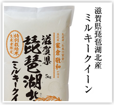 滋賀県琵琶湖北産ミルキークイーン